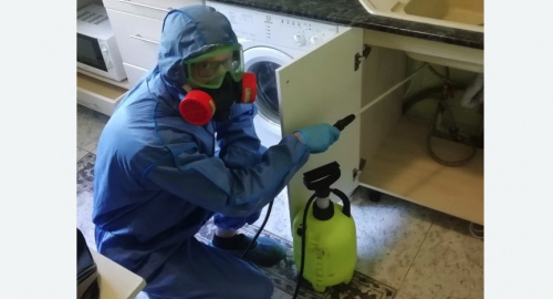 Уничтожение муравьев в квартире. поселок Володарского