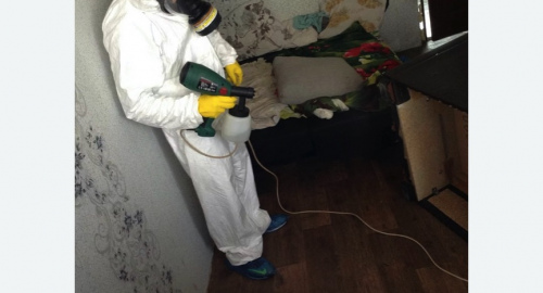 Обработка квартир от насекомых в поселке Володарского