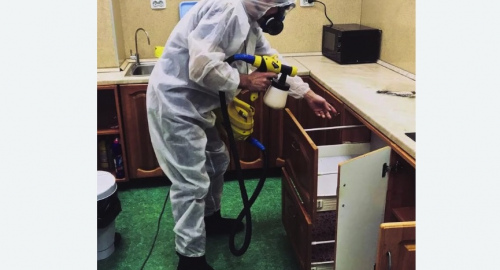 Дезинсекция квартиры. поселок Володарского
