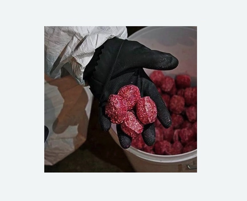 Обработка от крыс Обработка от крыс в поселке Володарского