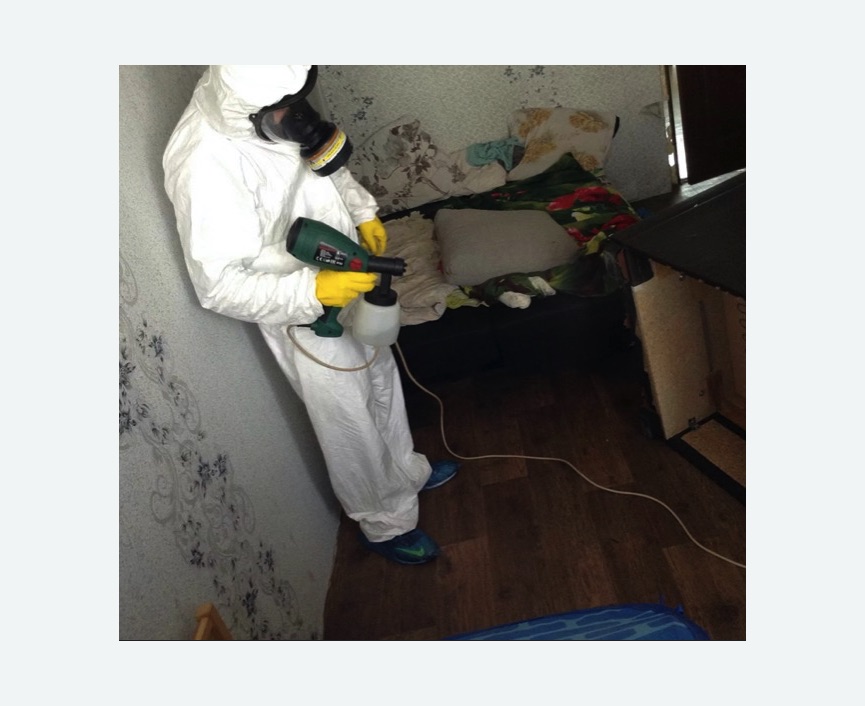 Обработка от насекомых в поселке Володарского Обработка квартиры от насекомых