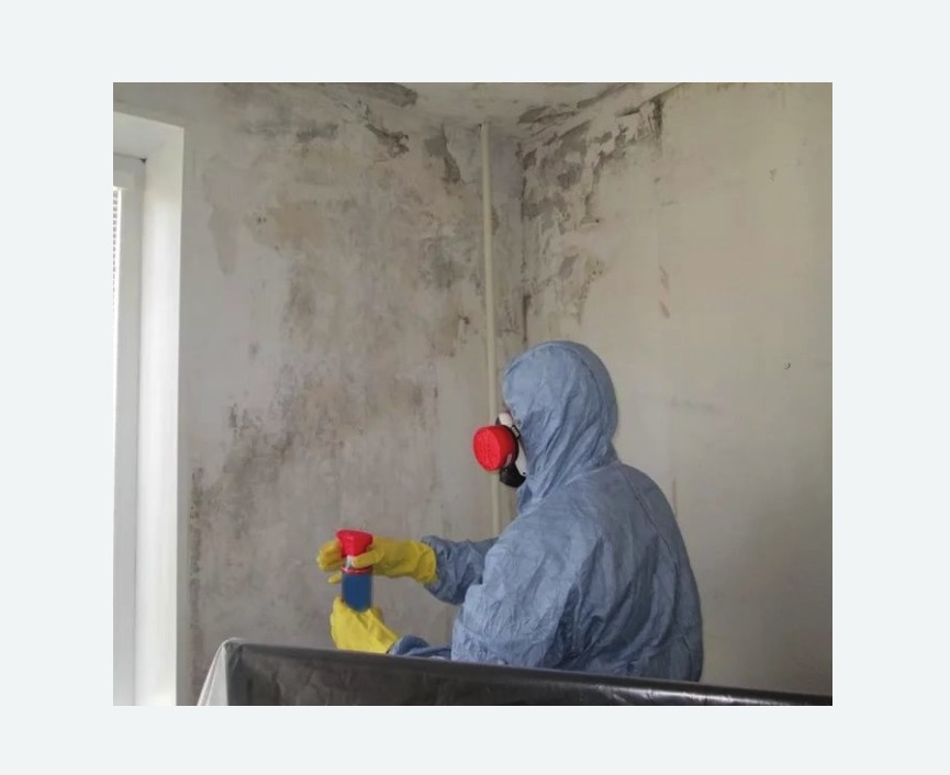Удаление плесени в квартире в поселке Володарского