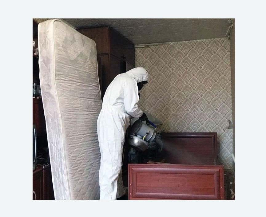 дезинфекция от клопов в поселке Володарского