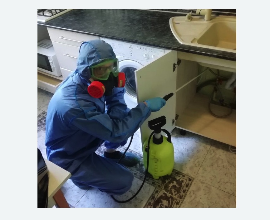 обработка от муравьев в квартире в поселке Володарского