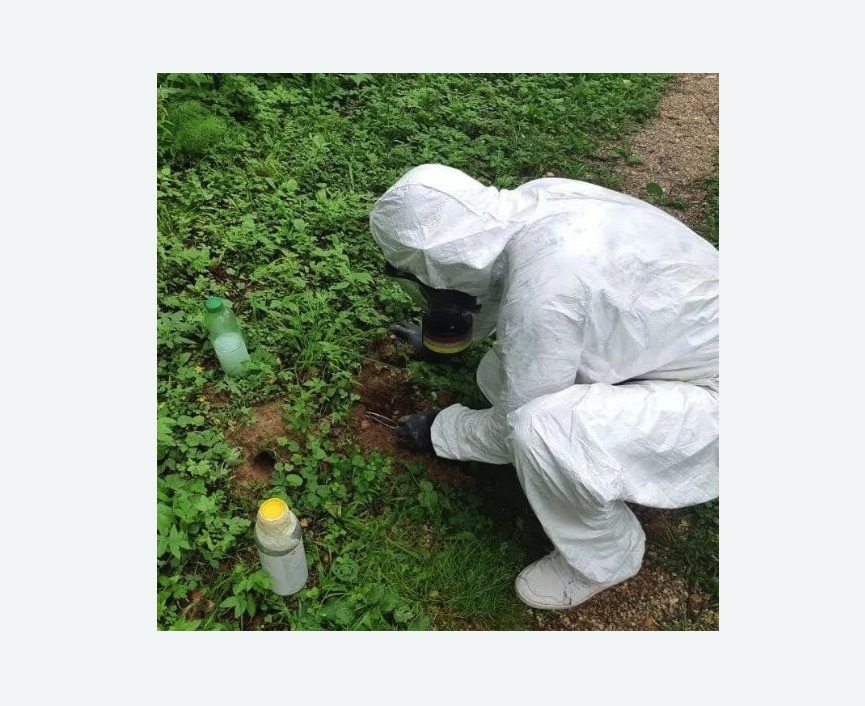 уничтожение кротов на участке в поселке Володарского