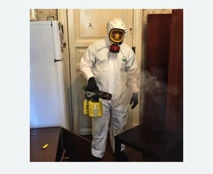 уничтожение муравьев в квартире в поселке Володарского